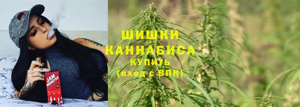 шишки Баксан
