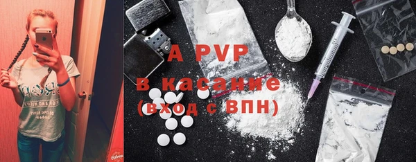 шишки Баксан