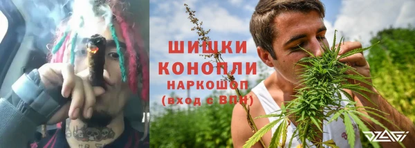 шишки Баксан