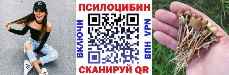 купить наркотики сайты  Невель  Галлюциногенные грибы Magic Shrooms 